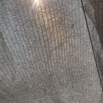 金魚の病気予報