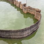 金魚の病気予報