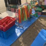 金魚の病気予報