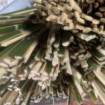 金魚の病気予報