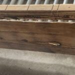 金魚の病気予報