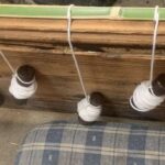 金魚の病気予報