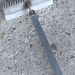 金魚の病気予報