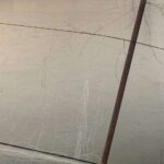 金魚の病気予報