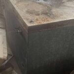 金魚の病気予報