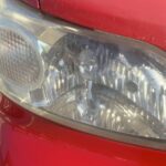 金魚の病気予報