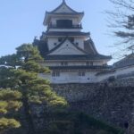 金魚の病気予報