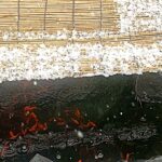 金魚の病気予報