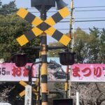 金魚の病気予報