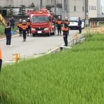 金魚の病気予報
